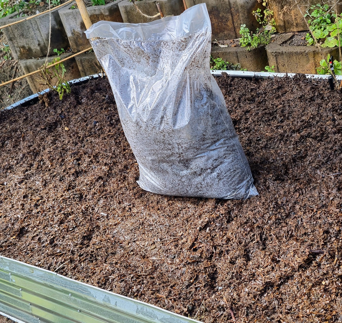 Compost WeGrowOrganic & The Juice Bar