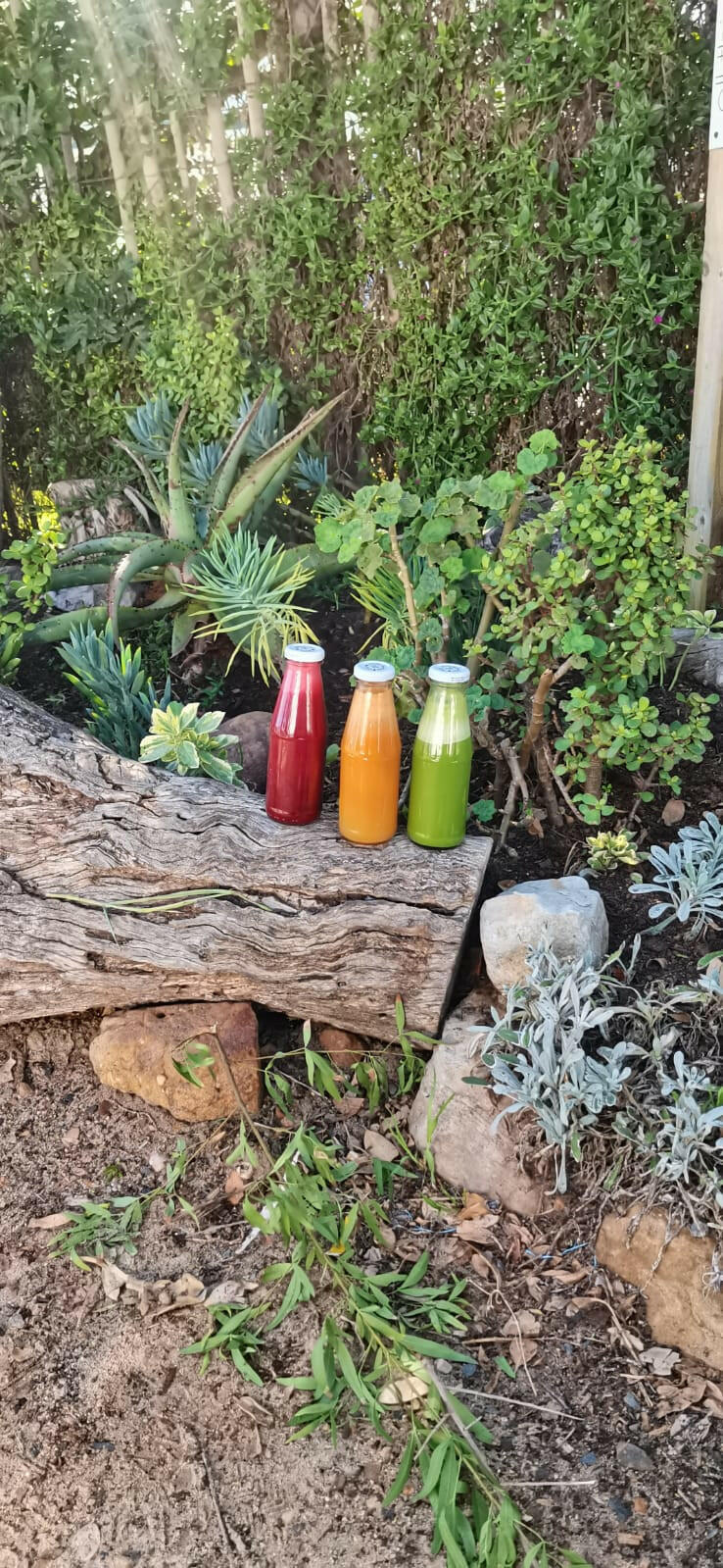4 - pack fresh juice - WeGrowOrganic & The Juice Bar
