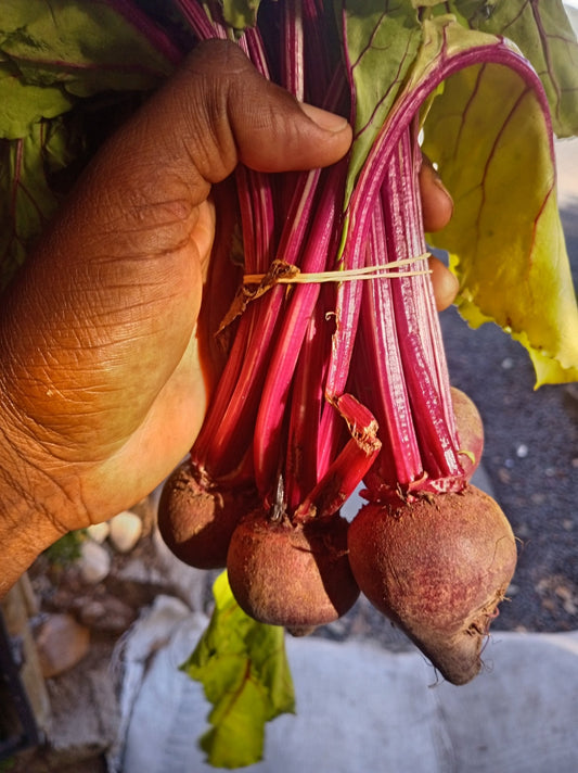 Beetroot - WeGrowOrganic & The Juice Bar