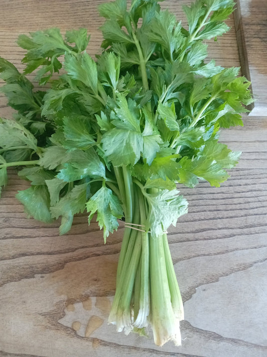 Celery bunch - WeGrowOrganic & The Juice Bar