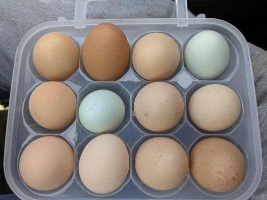 Free - range eggs 🥚 - WeGrowOrganic & The Juice Bar