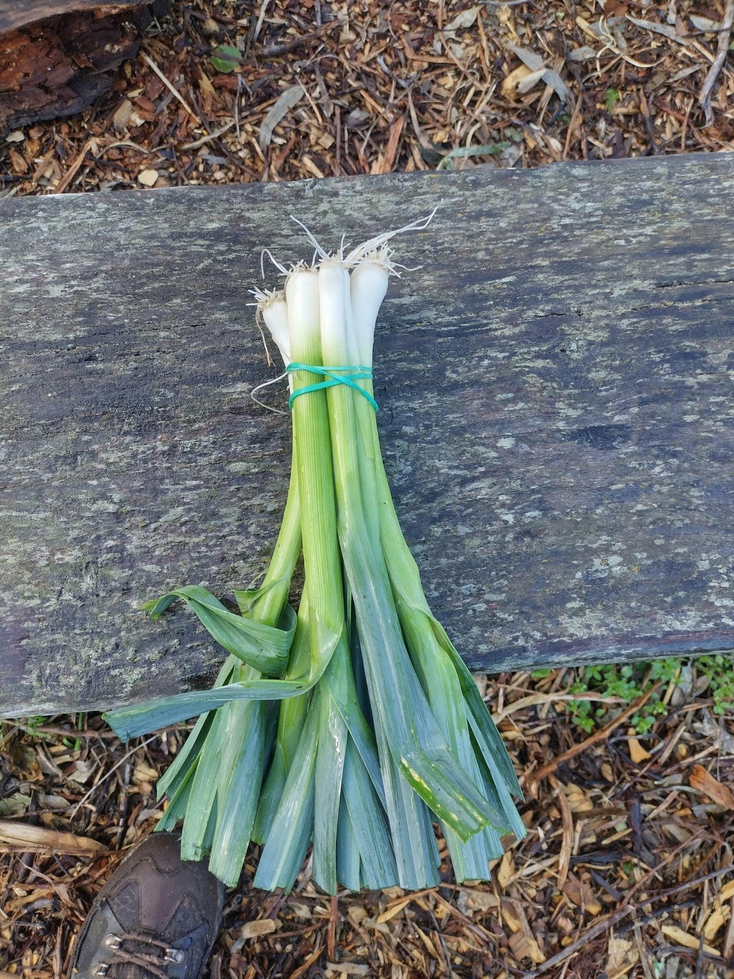 Leeks - WeGrowOrganic & The Juice Bar