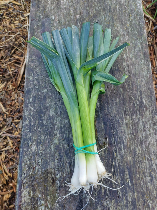 Leeks - WeGrowOrganic & The Juice Bar
