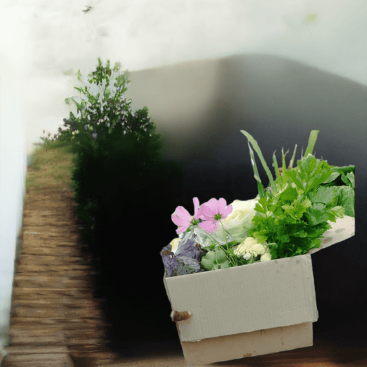 Medium box - WeGrowOrganic & The Juice Bar