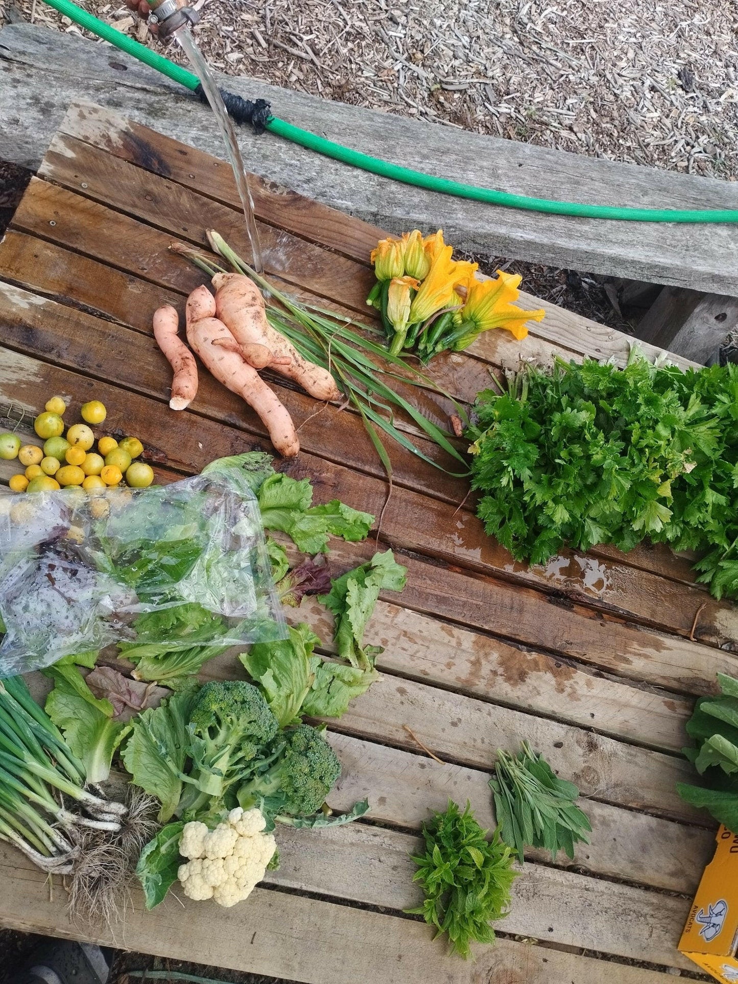 Medium box - WeGrowOrganic & The Juice Bar