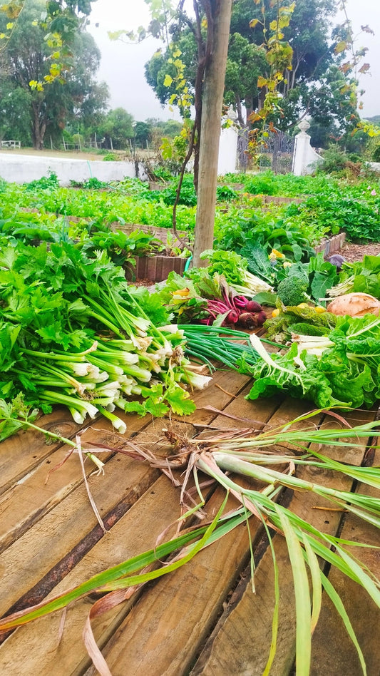 Organic vegetable hamper - WeGrowOrganic & The Juice Bar