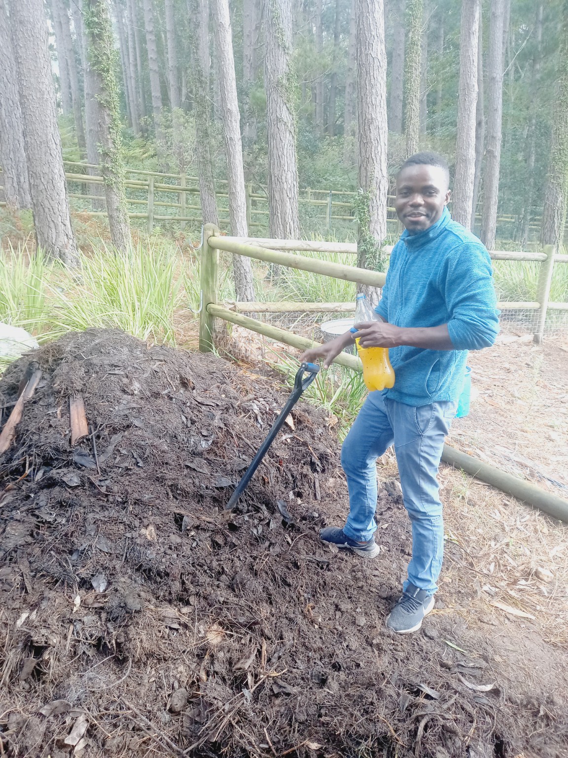 Vermicomposting at WeGrowOrganic — photo 2