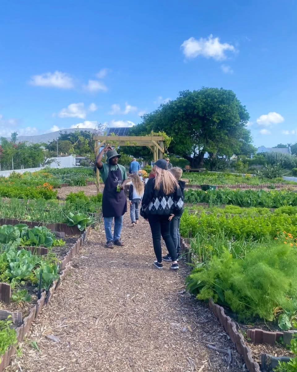 Group of visitors exploring a lush organic garden together