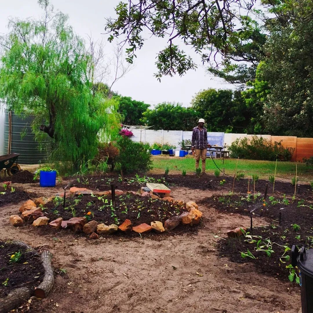 Newly installed backyard vegetable garden setup