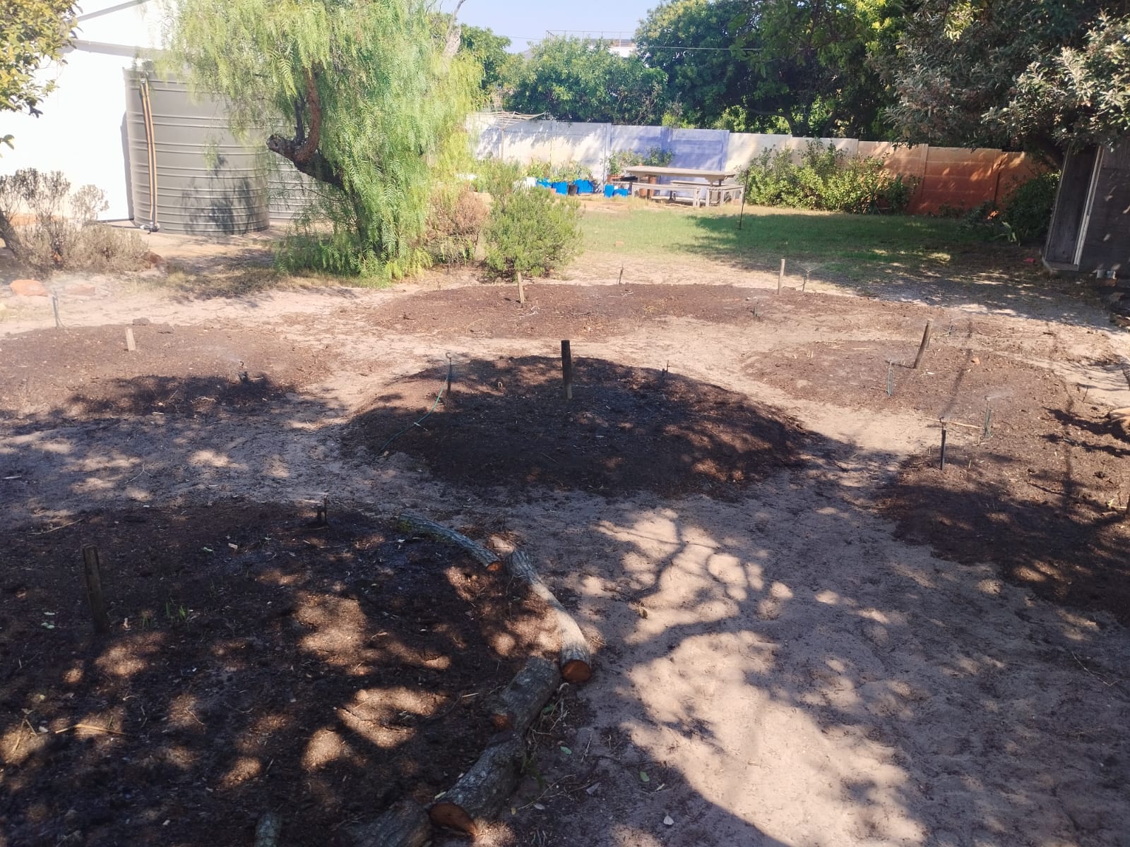 Mulched permaculture beds shaped and edged, ready for planting