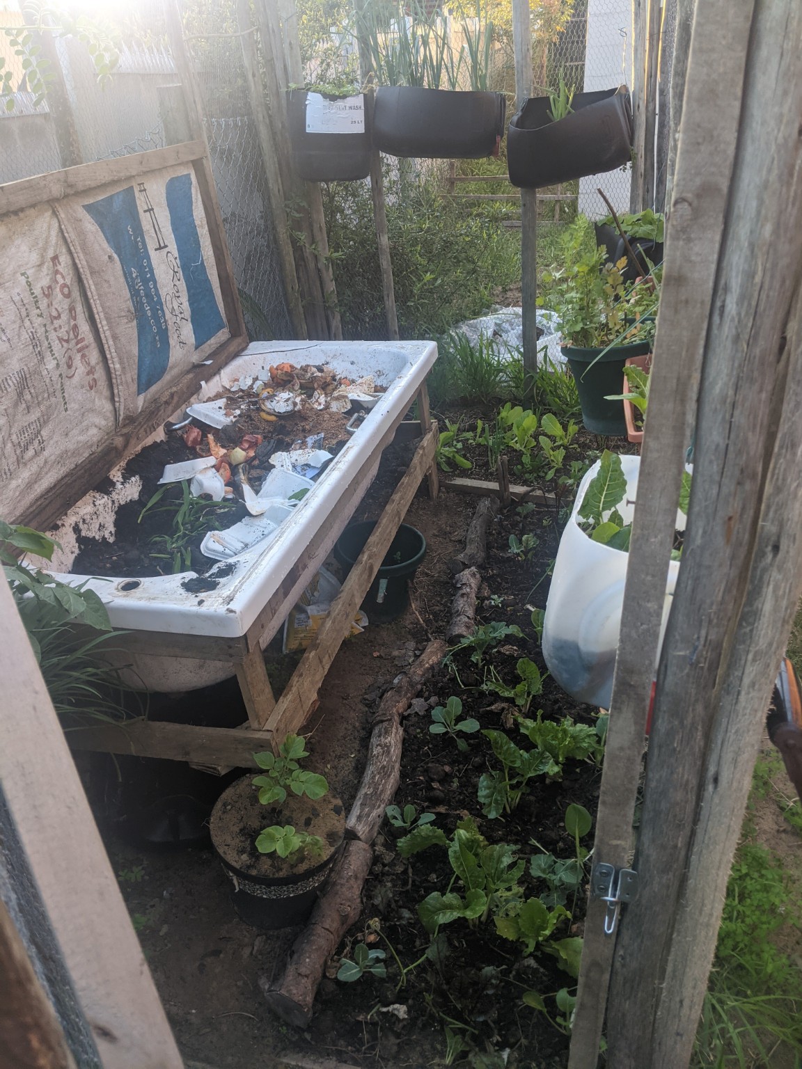 Vermicomposting at WeGrowOrganic — photo 3