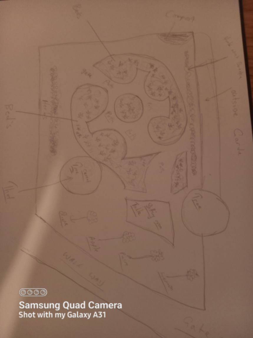 Hand-drawn permaculture garden design sketch 2