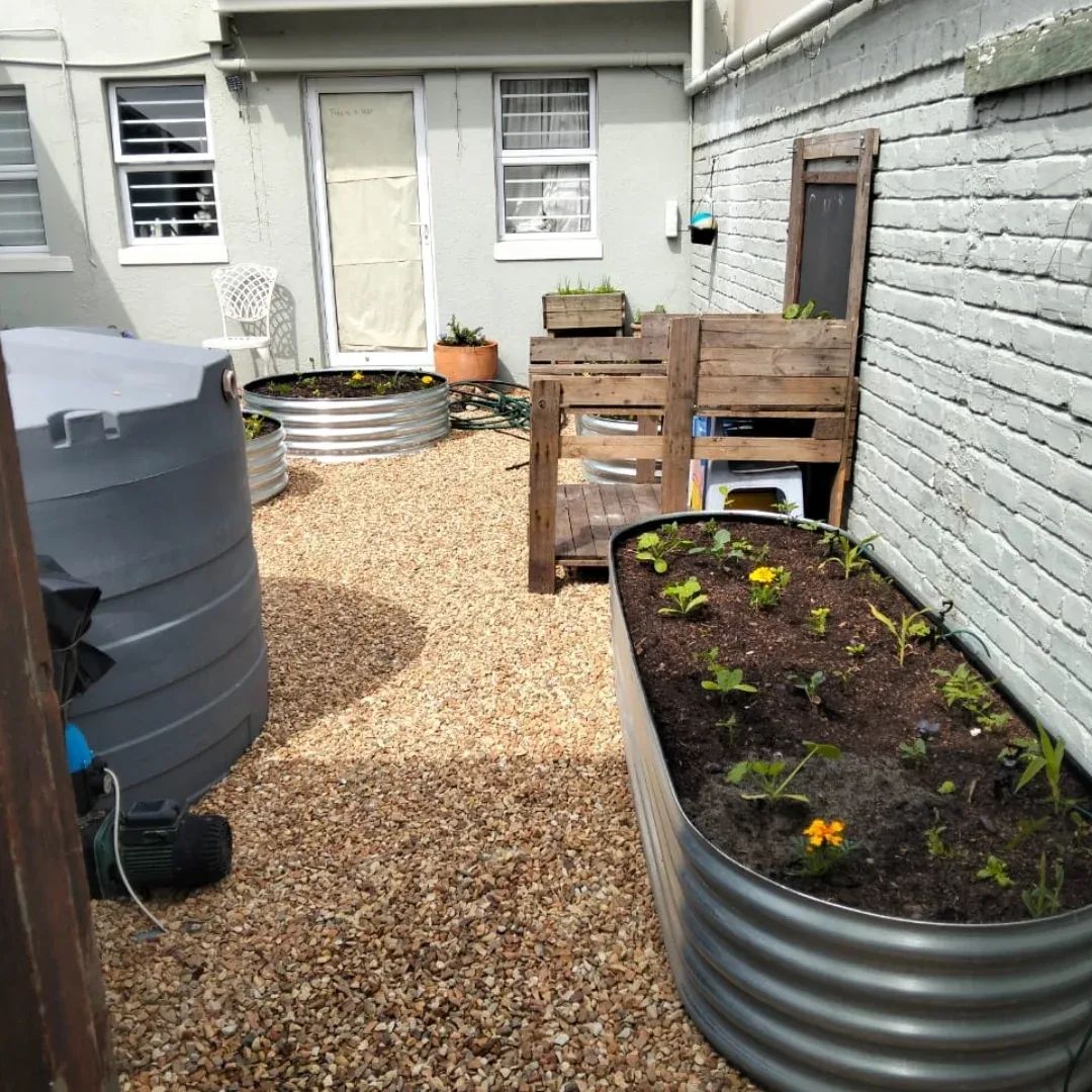 Mature planter garden one season after installation