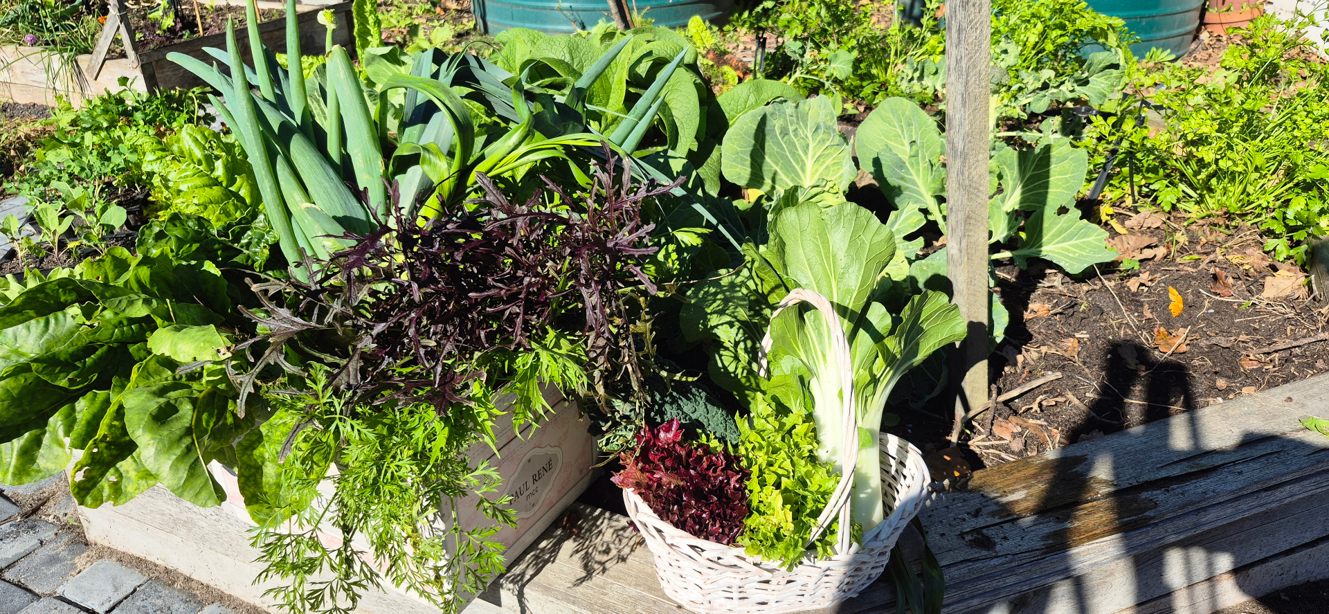 Fruit & Veggie Supply