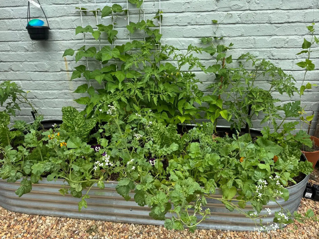 Organic food WeGrowOrganic