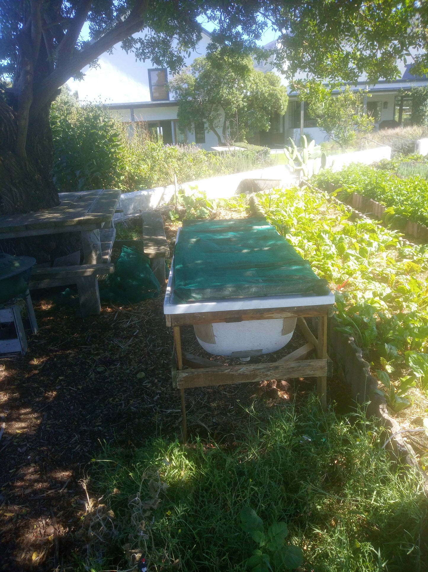 Earth Worm 🪱 Composting WeGrowOrganic & The Juice Bar