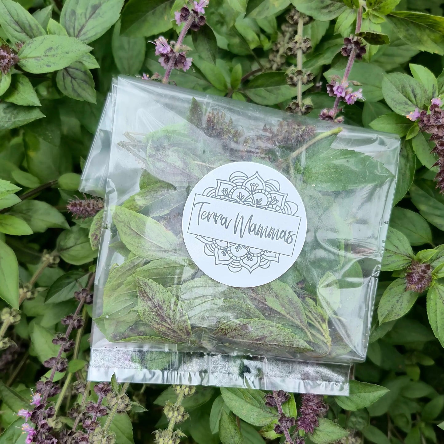 Tulsi x Holy Basil 15g WeGrowOrganic & The Juice Bar