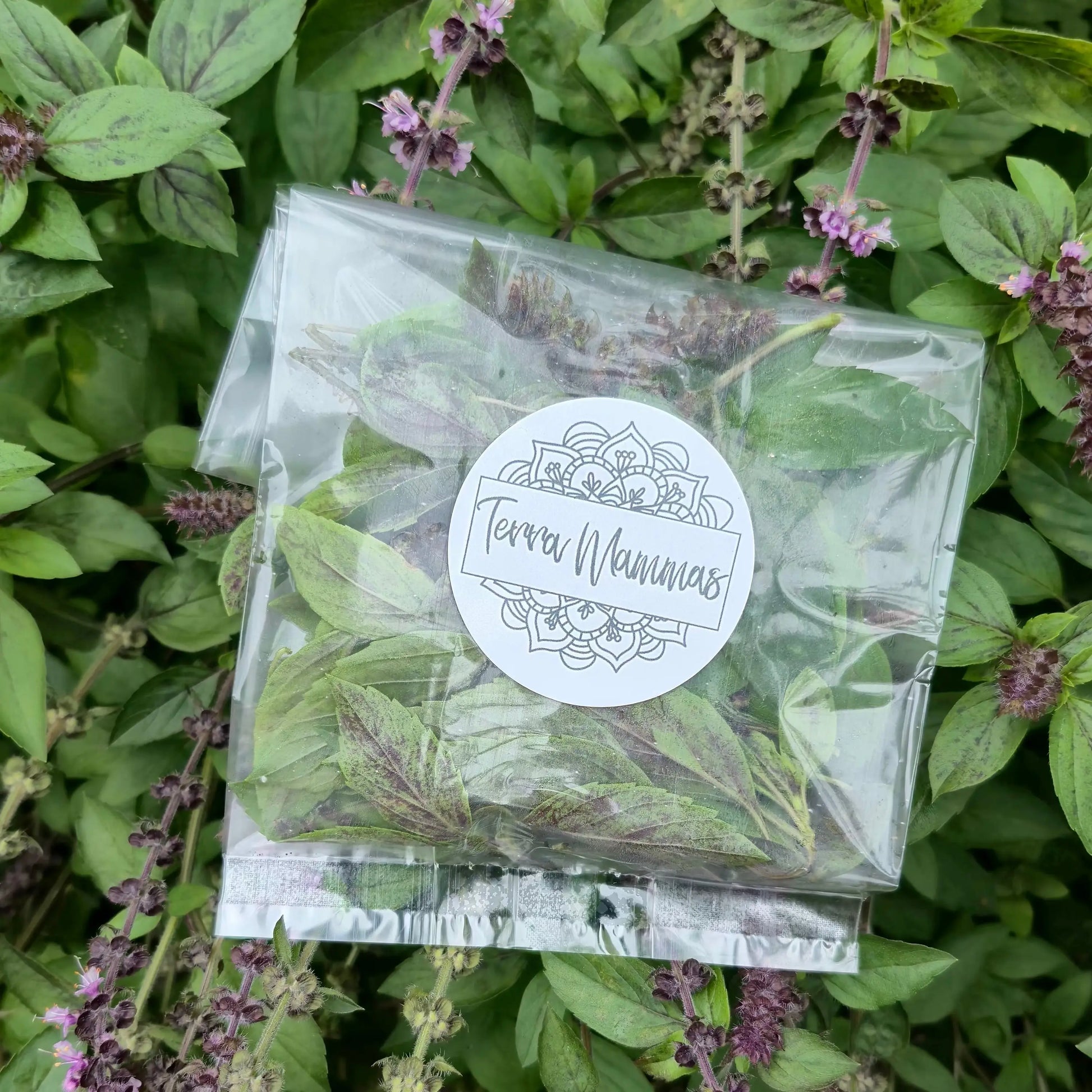 Tulsi x Holy Basil 15g WeGrowOrganic & The Juice Bar