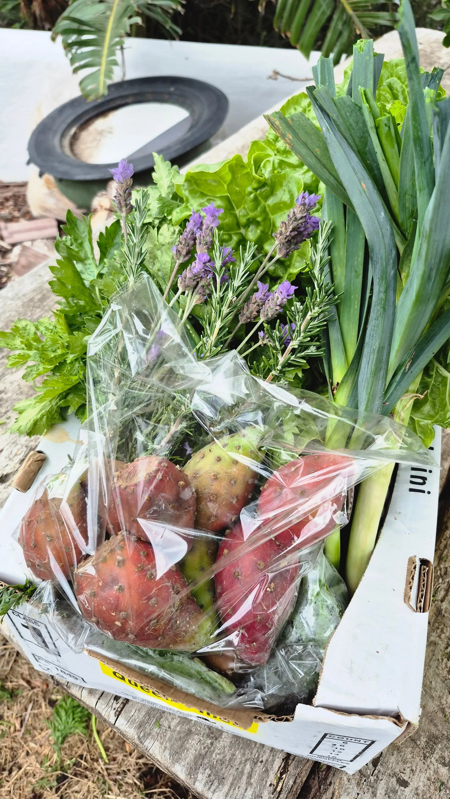 Organic vegetable hamper WeGrowOrganic & The Juice Bar