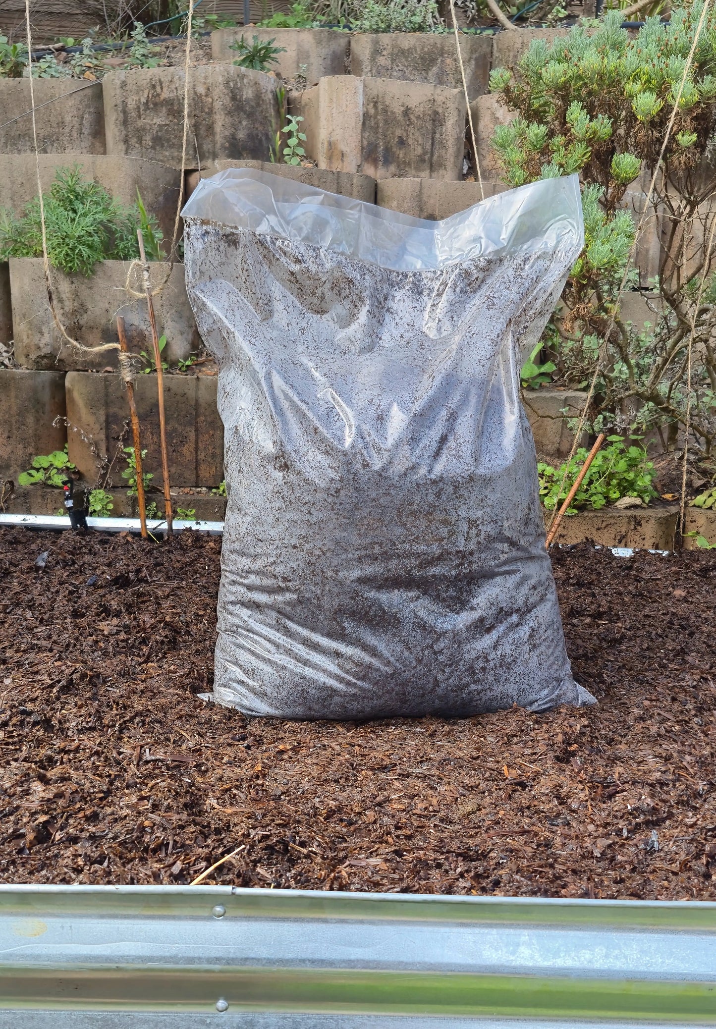 Compost WeGrowOrganic & The Juice Bar
