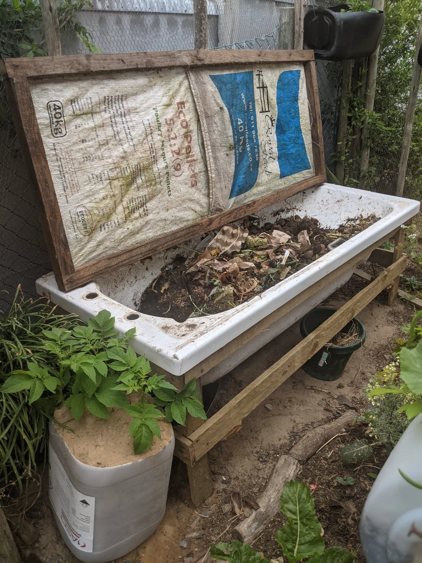 Earth Worm 🪱 Composting WeGrowOrganic & The Juice Bar