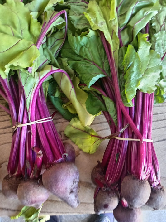 Beetroot - WeGrowOrganic & The Juice Bar