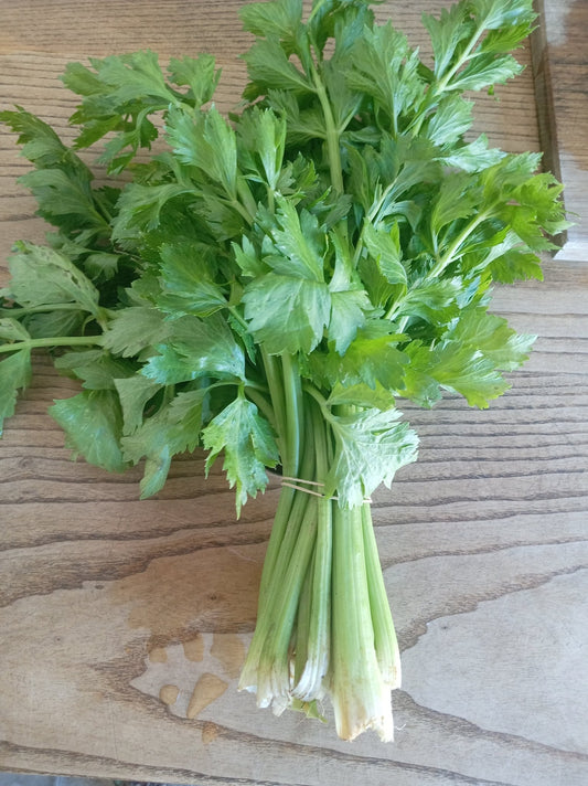 Celery bunch - WeGrowOrganic & The Juice Bar