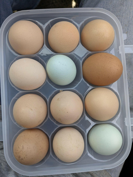 Free - range eggs 🥚 - WeGrowOrganic & The Juice Bar