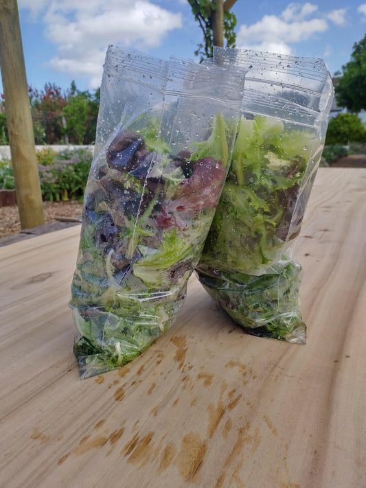 Lettuce mix 250g - WeGrowOrganic & The Juice Bar