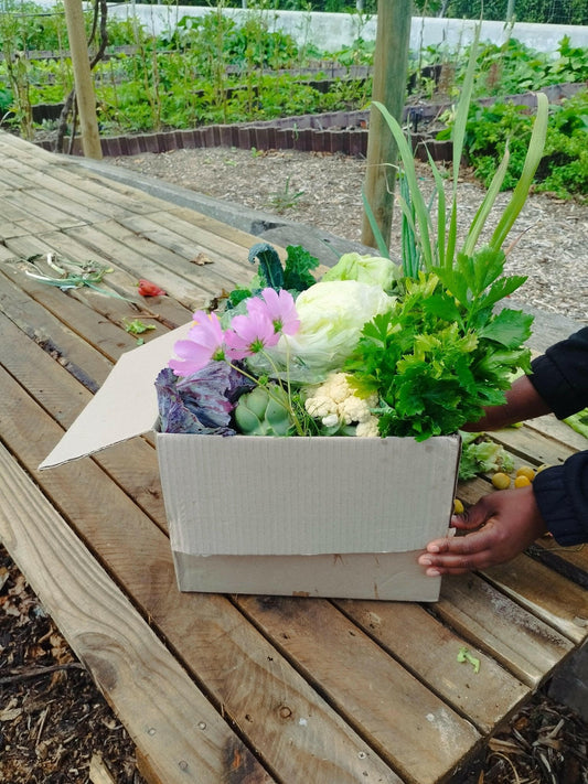 Medium box - WeGrowOrganic & The Juice Bar