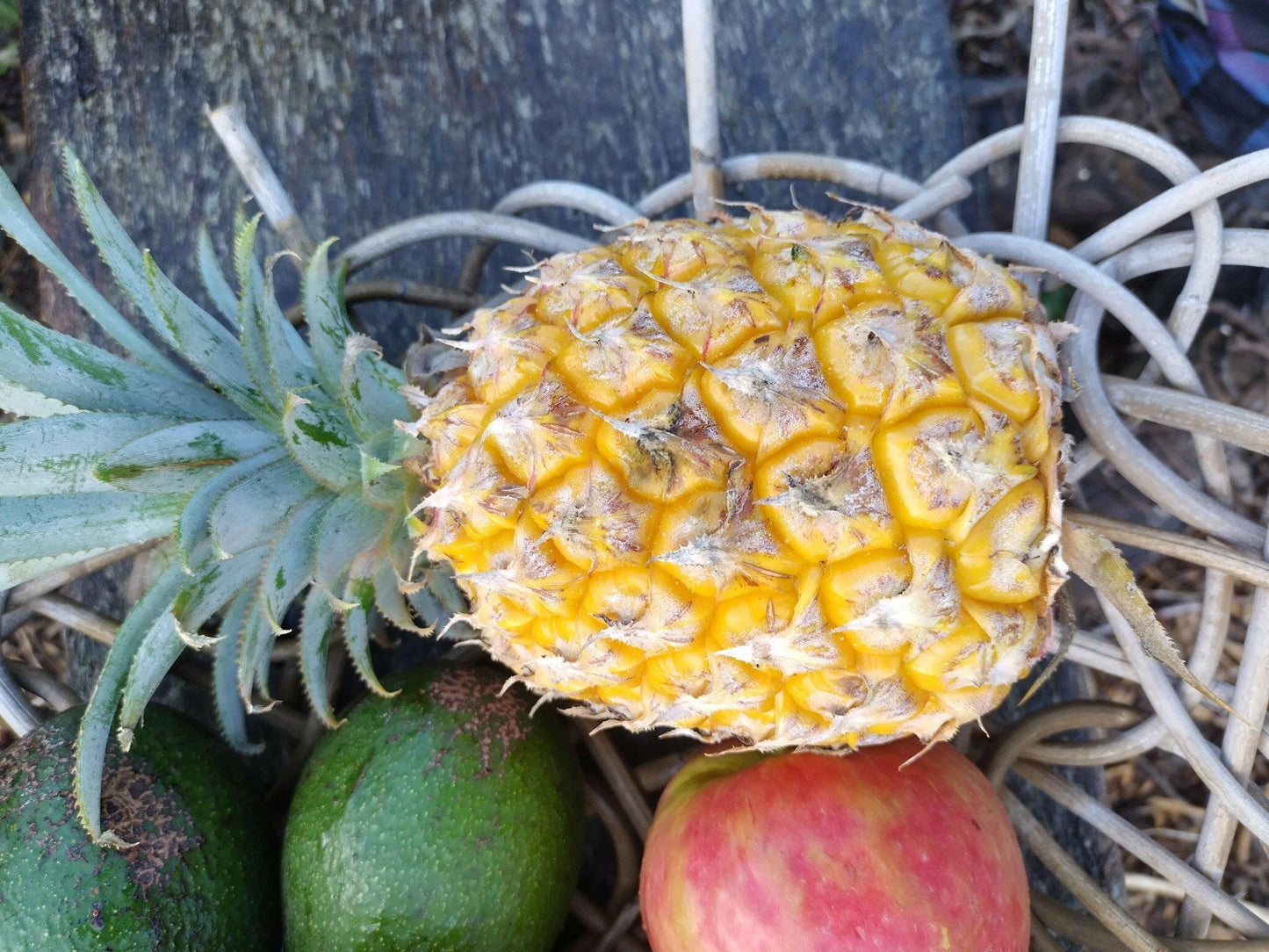 Pineapple - WeGrowOrganic & The Juice Bar