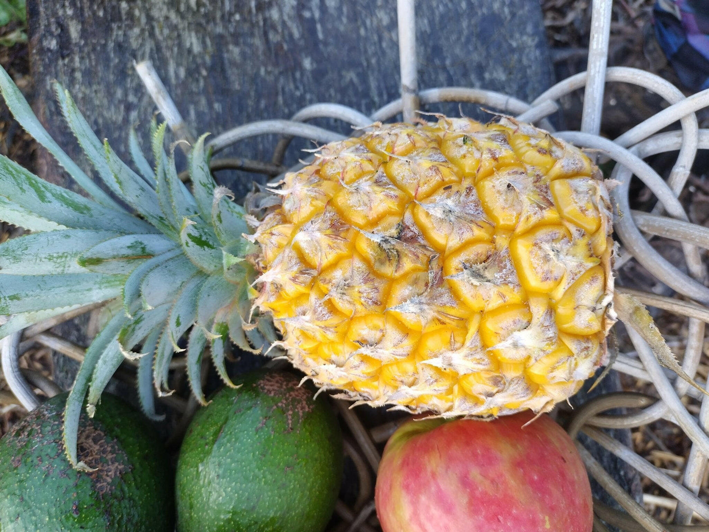 Pineapple - WeGrowOrganic & The Juice Bar