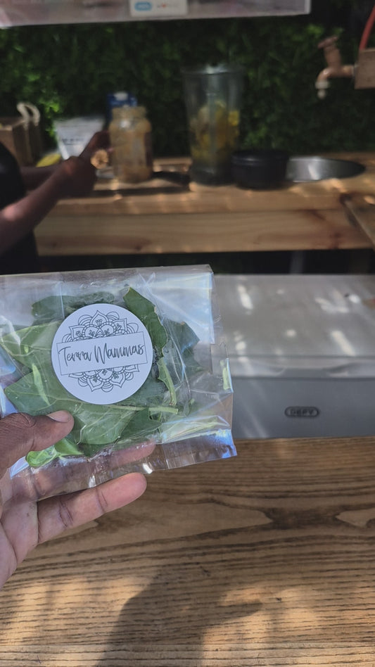 Tulsi x Holy Basil 15g