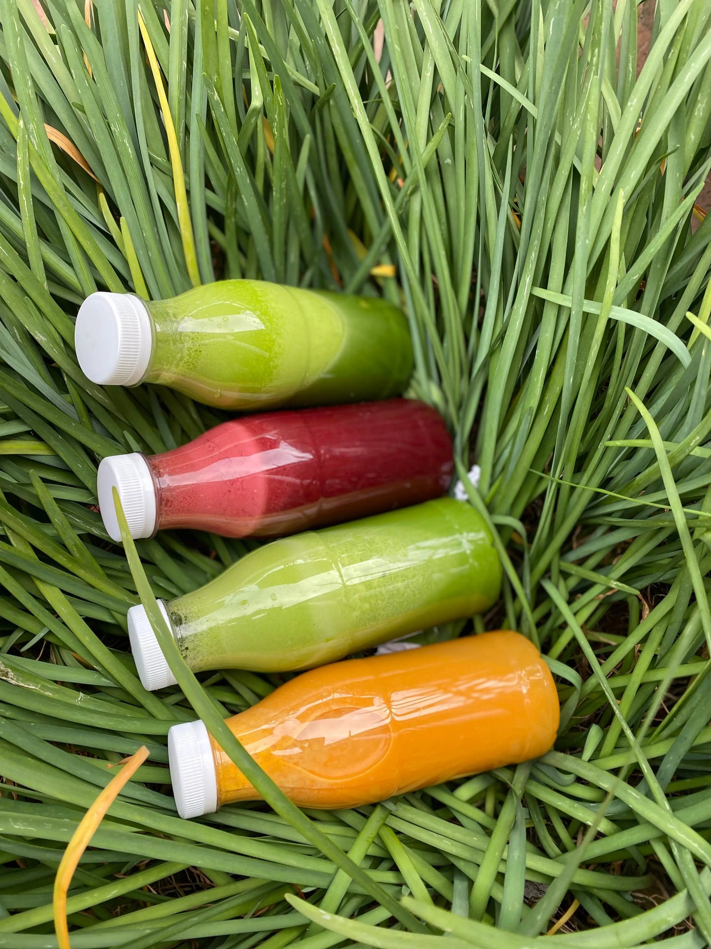 Green Juice WeGrowOrganic & The Juice Bar