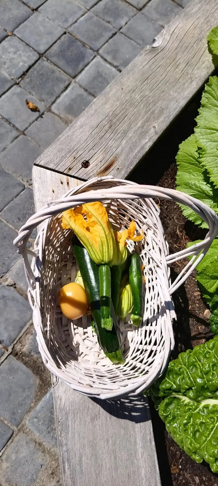 Organic vegetable hamper WeGrowOrganic & The Juice Bar