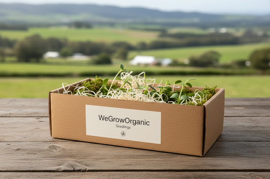 Winter Seedlings box 30 WeGrowOrganic